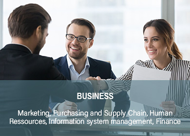 business Marketing, Purchasing and Supply Chain, Human Ressources, Information system management, Finance