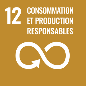 ODD 12 Consommation et production responsables