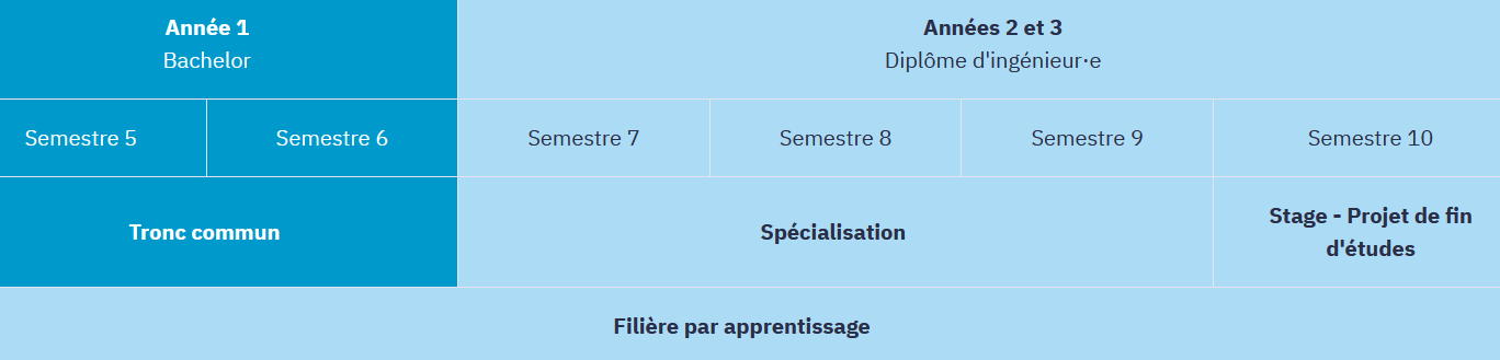 Cursus ingénieur : description détaillée ci-dessous